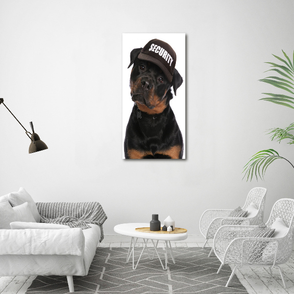 Imprimare tablou canvas Rottweiler într-un capac