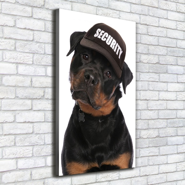 Imprimare tablou canvas Rottweiler într-un capac