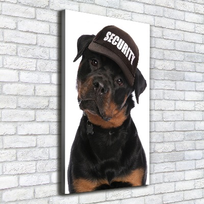 Imprimare tablou canvas Rottweiler într-un capac