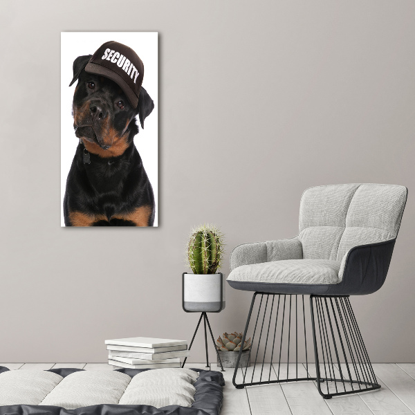 Imprimare tablou canvas Rottweiler într-un capac