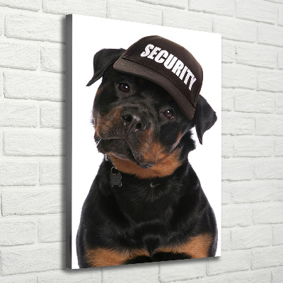 Imprimare tablou canvas Rottweiler într-un capac