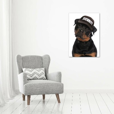 Imprimare tablou canvas Rottweiler într-un capac