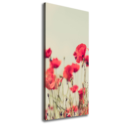 Imprimare tablou canvas wildflowers maci