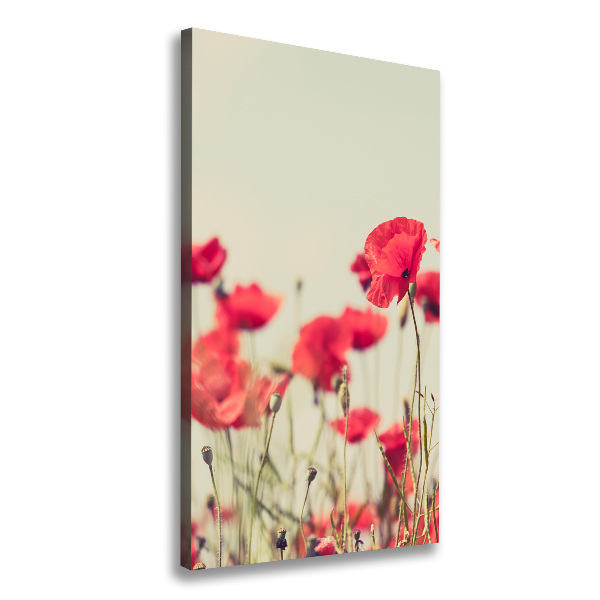 Imprimare tablou canvas wildflowers maci