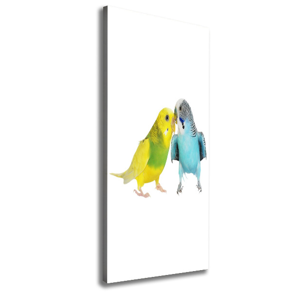 Tablou pe pânză canvas budgies