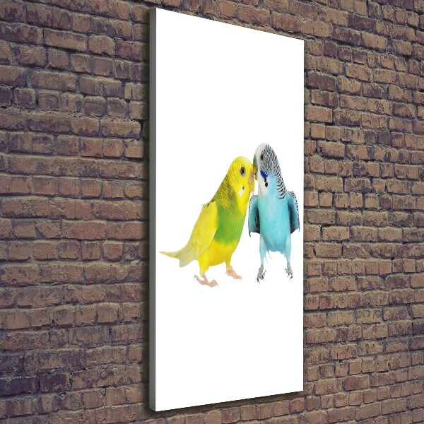 Tablou pe pânză canvas budgies