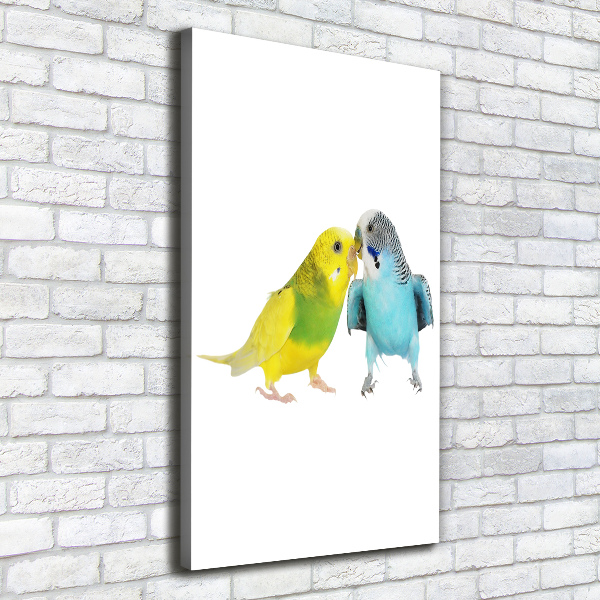 Tablou pe pânză canvas budgies