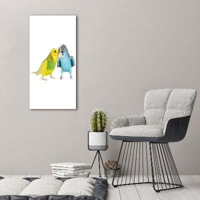 Tablou pe pânză canvas budgies