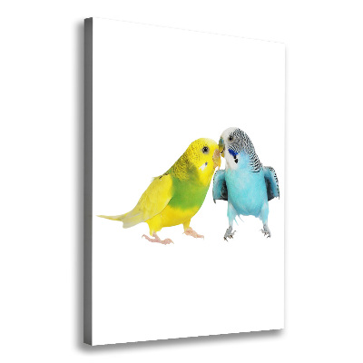 Tablou pe pânză canvas budgies