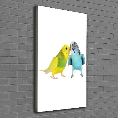 Tablou pe pânză canvas budgies