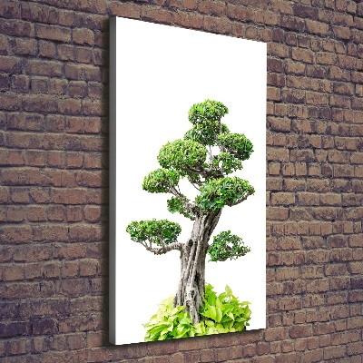 Pictură pe pânză copac bonsai