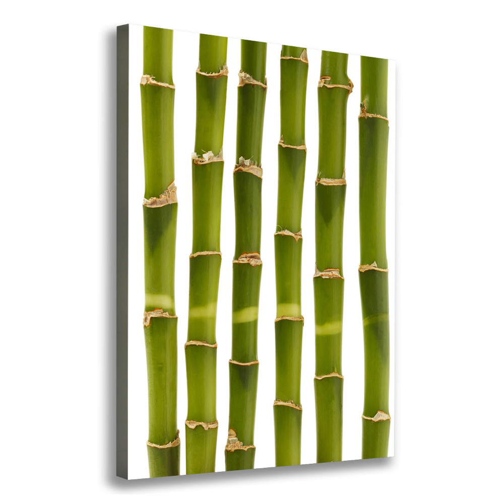 Print pe canvas Bambus
