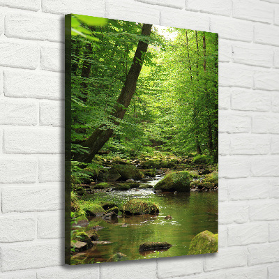 Tablou pe pânză canvas Râul în pădure