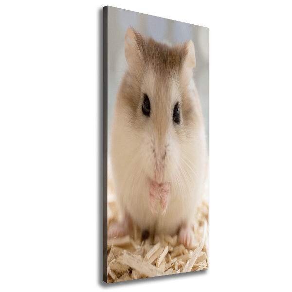 Imprimare tablou canvas Hamster