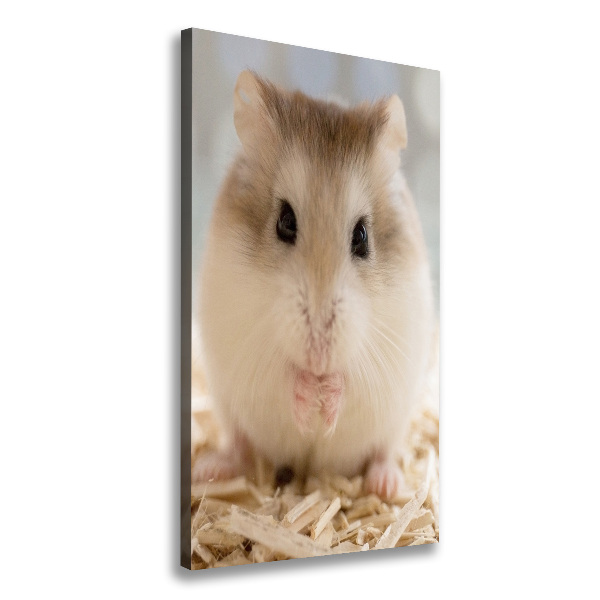 Imprimare tablou canvas Hamster