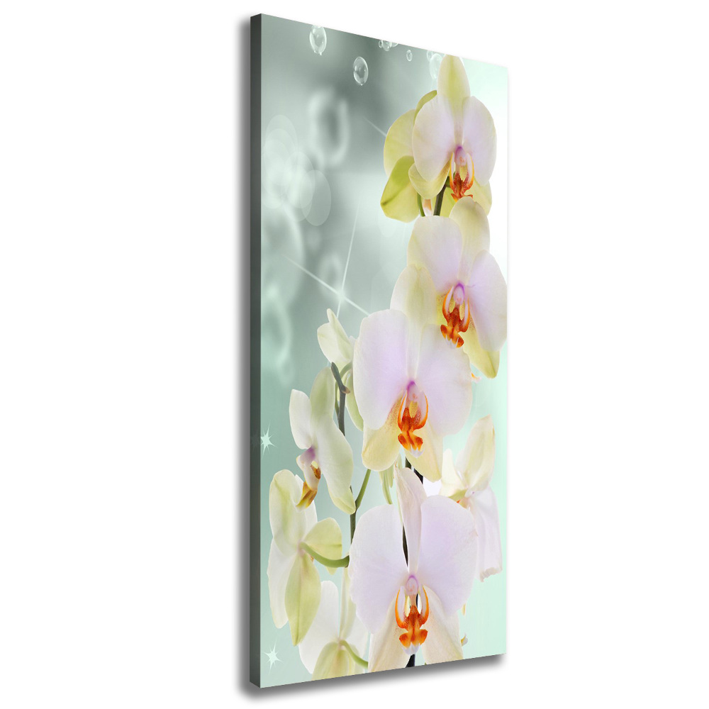 Tablou canvas Orhidee
