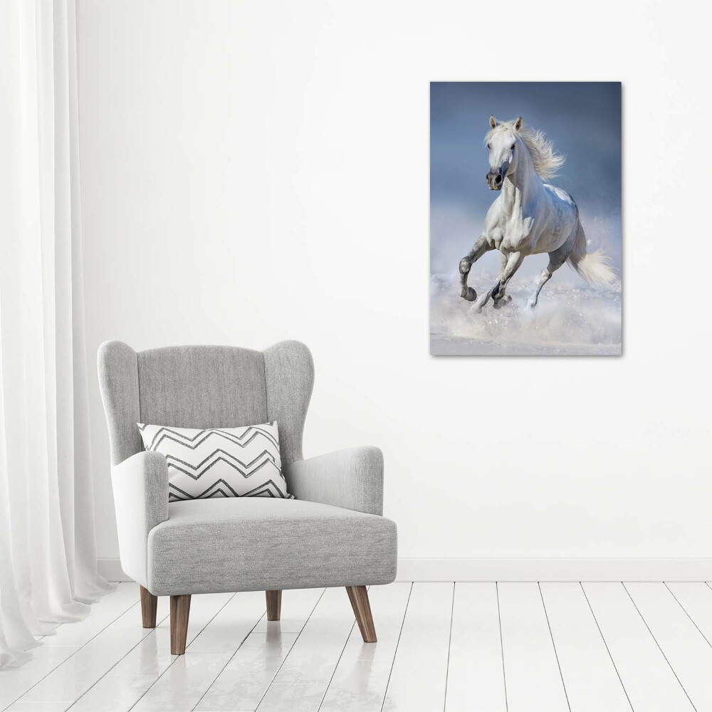 Tablou canvas cal alb în galop
