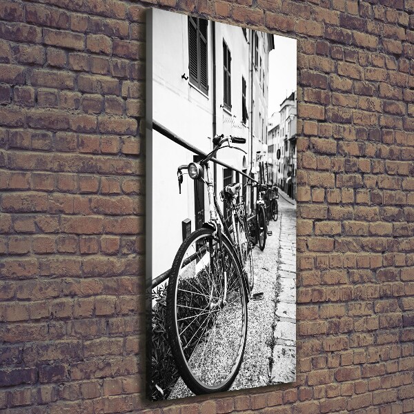 Tablou canvas biciclete urbane