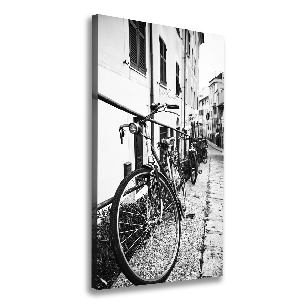 Tablou canvas biciclete urbane