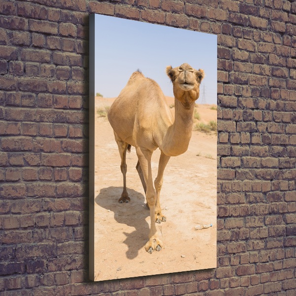 Pictură pe pânză Camel în deșert