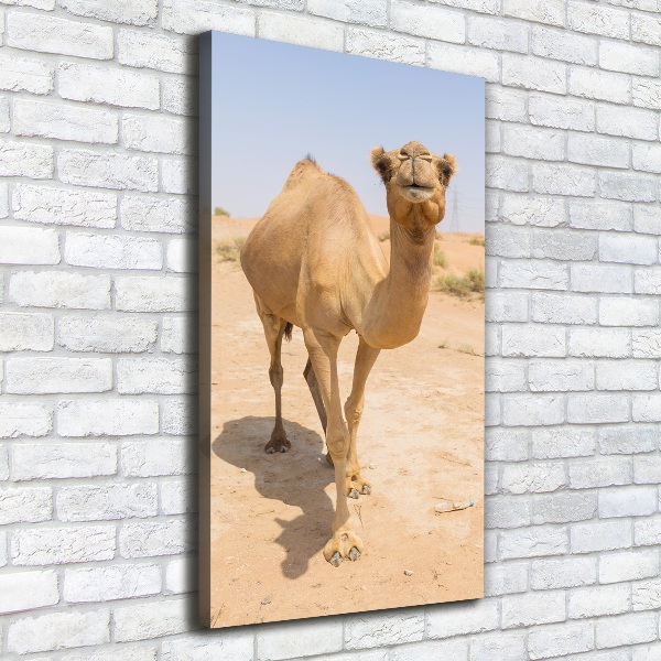 Pictură pe pânză Camel în deșert