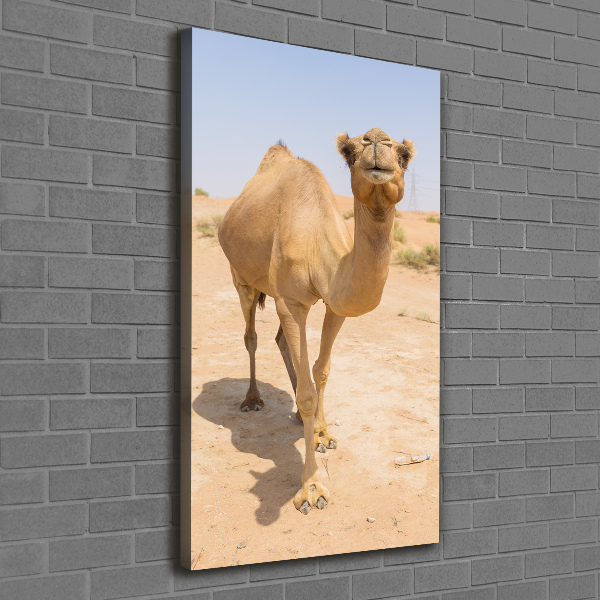 Pictură pe pânză Camel în deșert