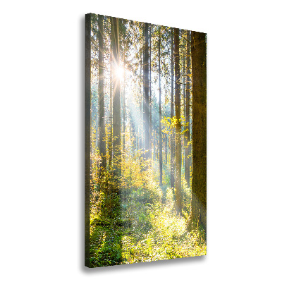 Tablou pe pânză canvas Soare în pădure