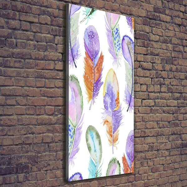 Pictură pe pânză pene colorate