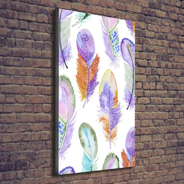 Pictură pe pânză pene colorate