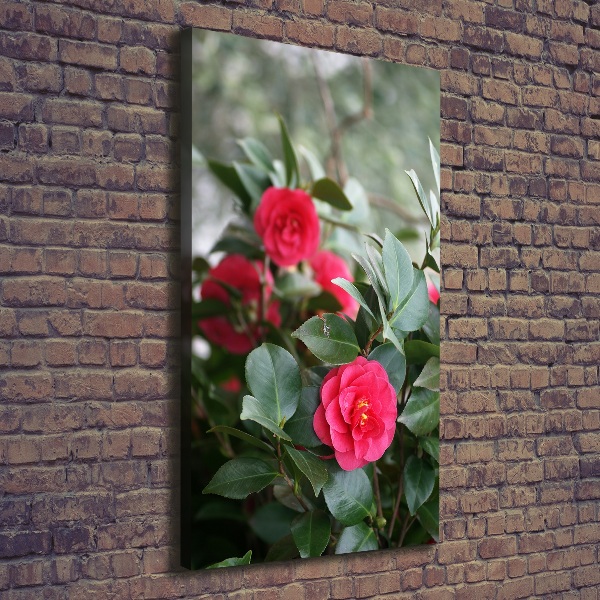 Print pe canvas camelia