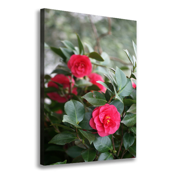 Print pe canvas camelia