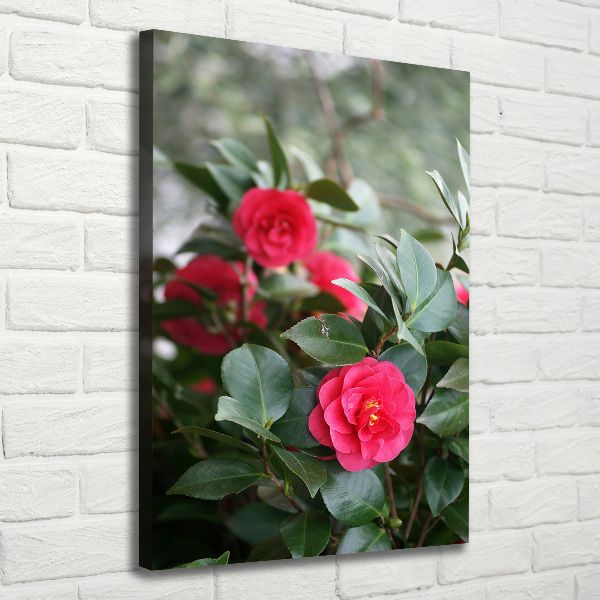 Print pe canvas camelia