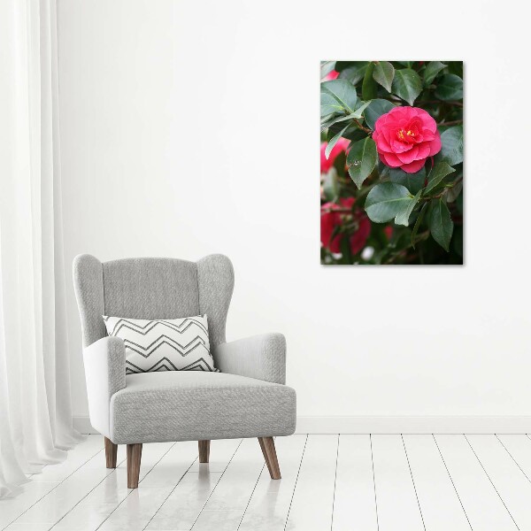 Print pe canvas camelia