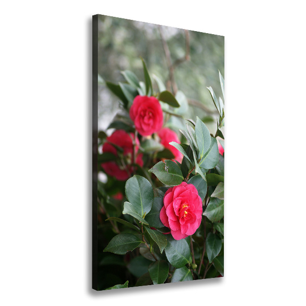 Print pe canvas camelia