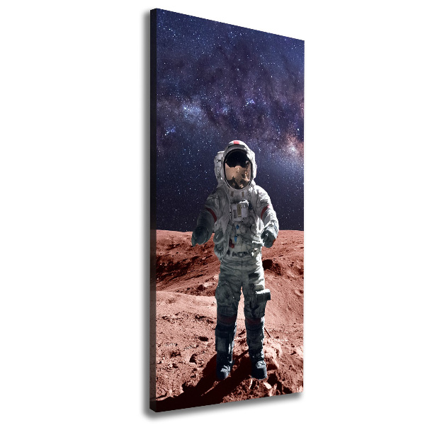 Tablou pe pânză canvas Astronaut