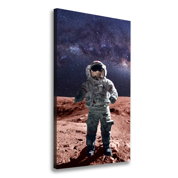 Tablou pe pânză canvas Astronaut