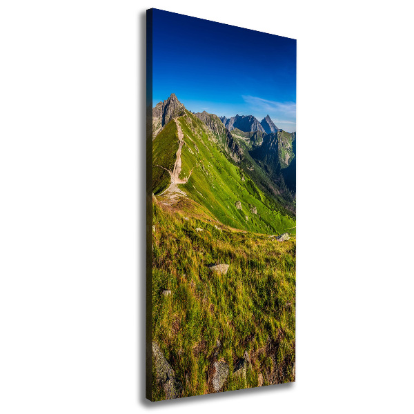 Print pe canvas Tatry