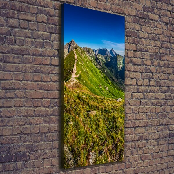 Print pe canvas Tatry