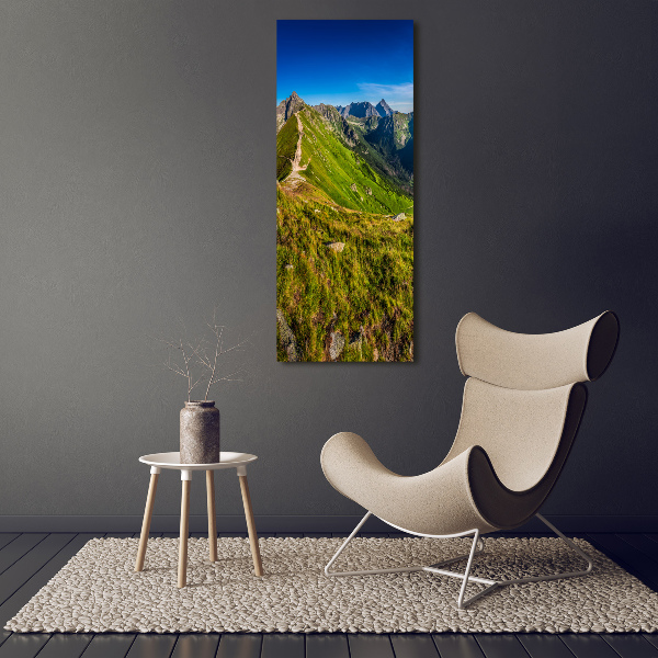 Print pe canvas Tatry