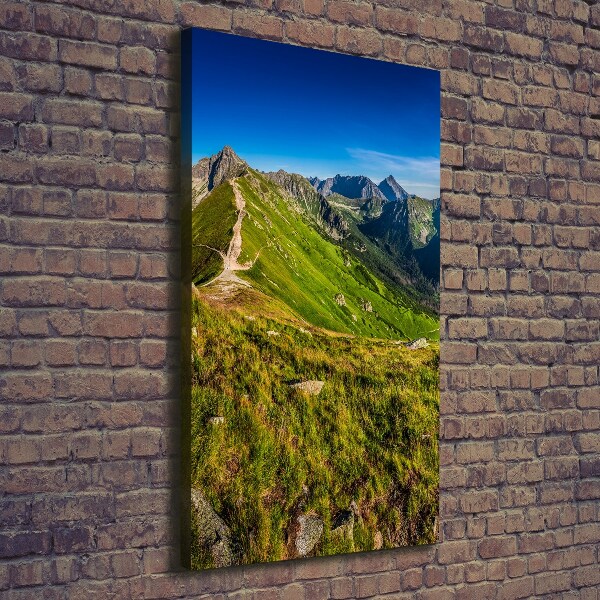 Print pe canvas Tatry