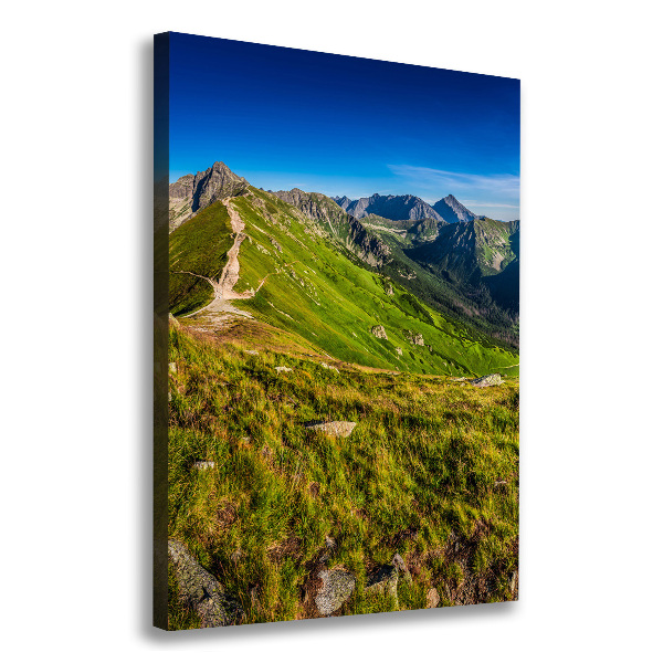 Print pe canvas Tatry