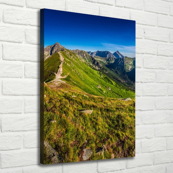 Print pe canvas Tatry