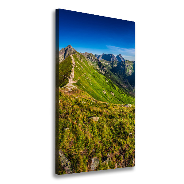 Print pe canvas Tatry