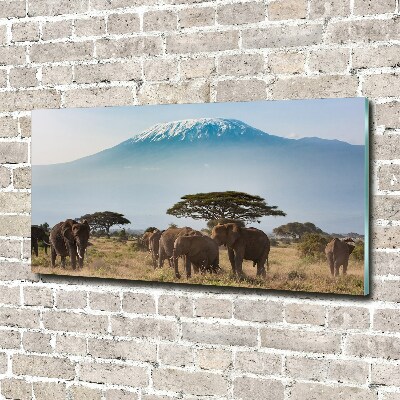 Tablou din Sticlă elefanți Kilimanjaro