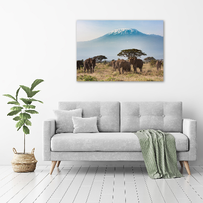 Tablou din Sticlă elefanți Kilimanjaro