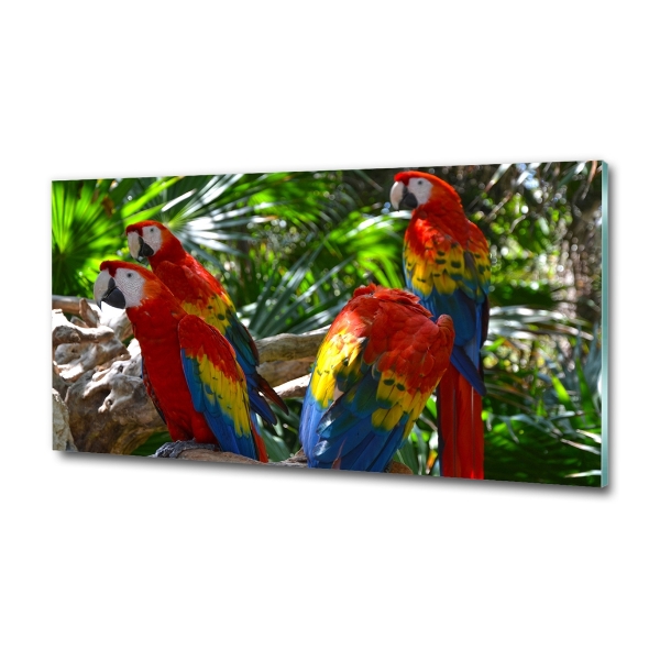 Tablou Printat Pe Sticlă papagali Macaws