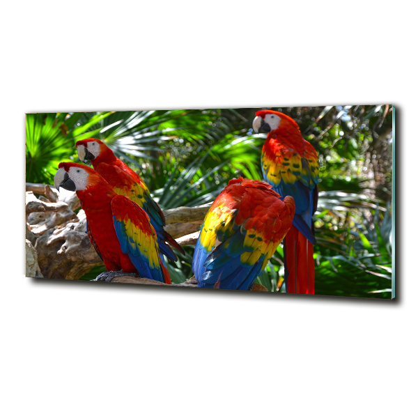 Tablou Printat Pe Sticlă papagali Macaws