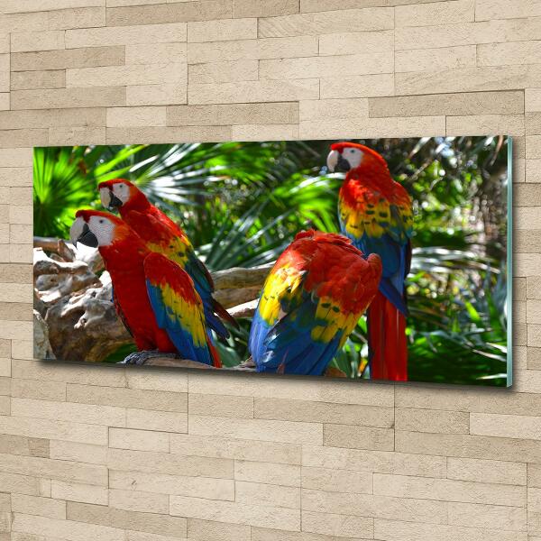 Tablou Printat Pe Sticlă papagali Macaws