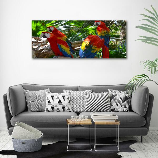 Tablou Printat Pe Sticlă papagali Macaws