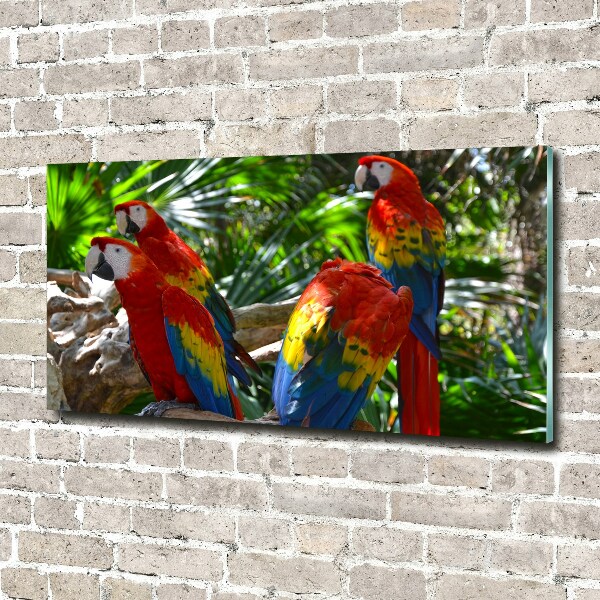 Tablou Printat Pe Sticlă papagali Macaws
